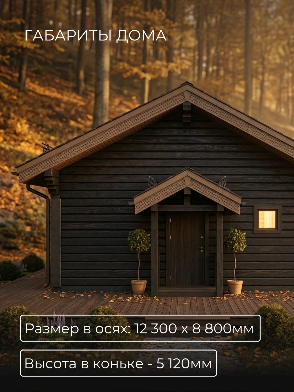 Проект дома 78 м2 / Брус / 1 этаж / 10,0 — фото 4